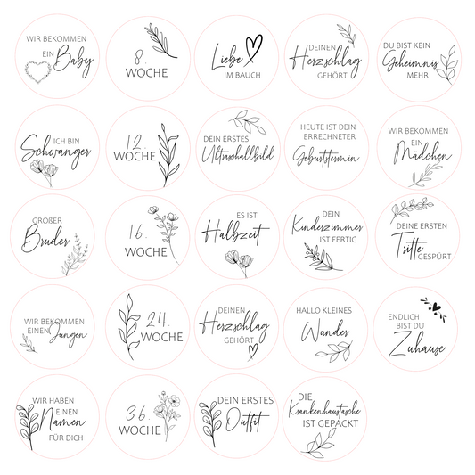 Meilensteine Schwangerschaft 24er Set