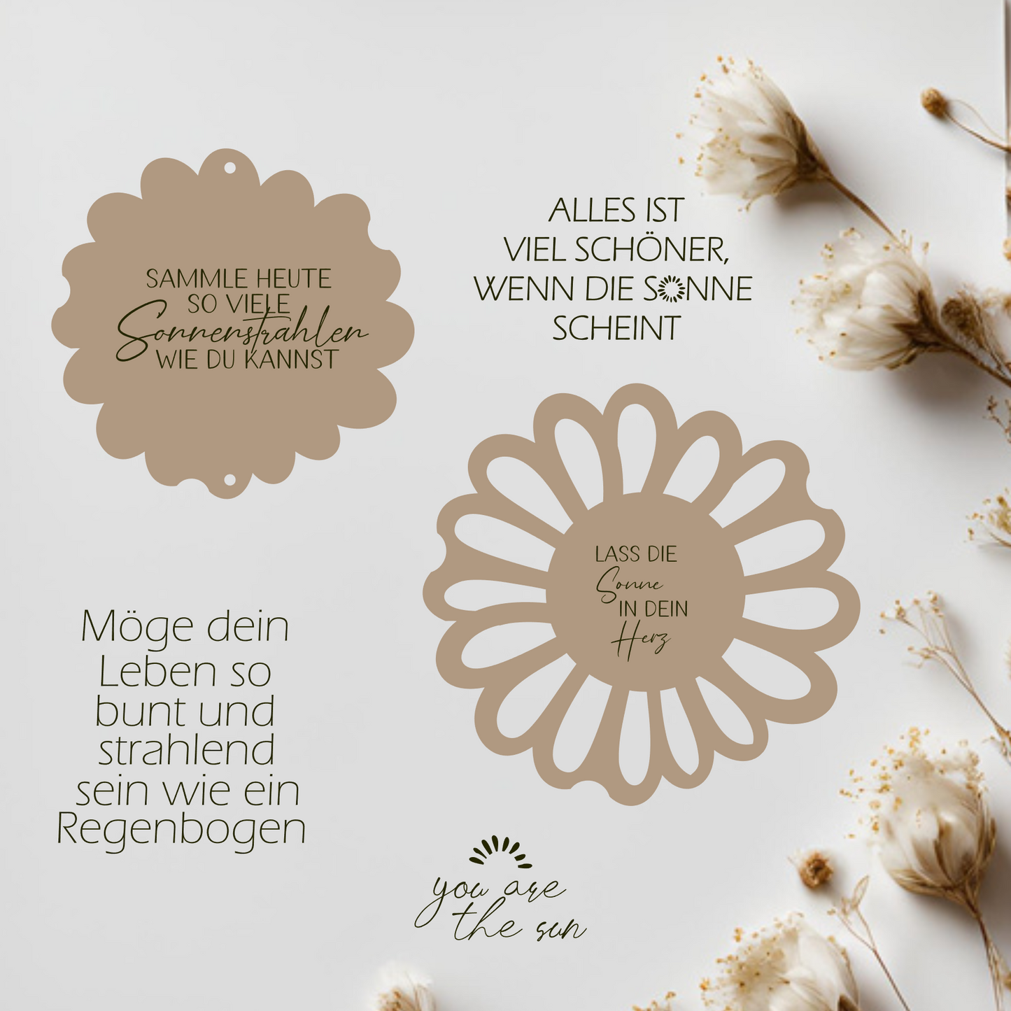 Sonnenfänger Sonnenstrahlen